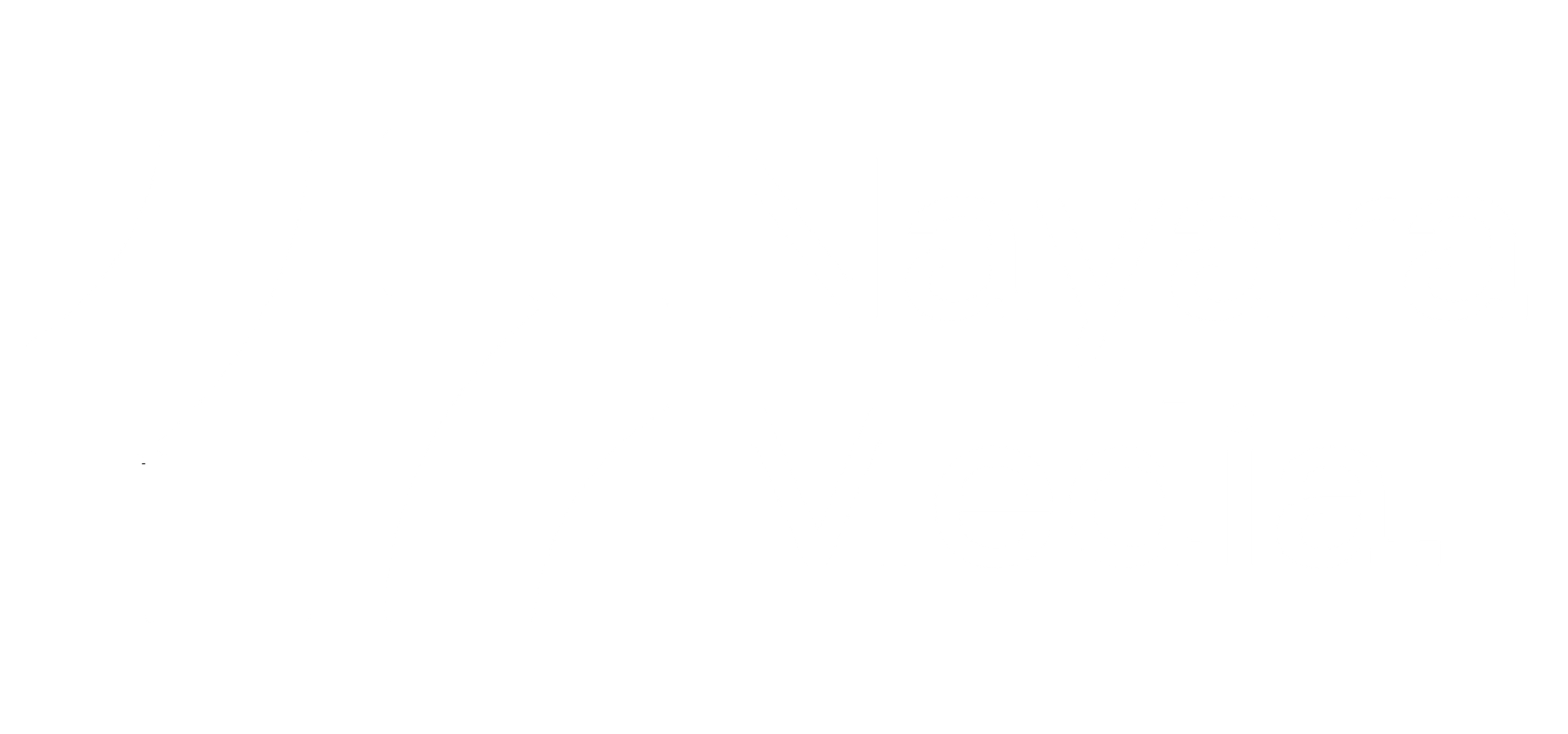 Nayara Media Logo